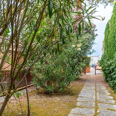 Lejlighed Italian Experience-fano *